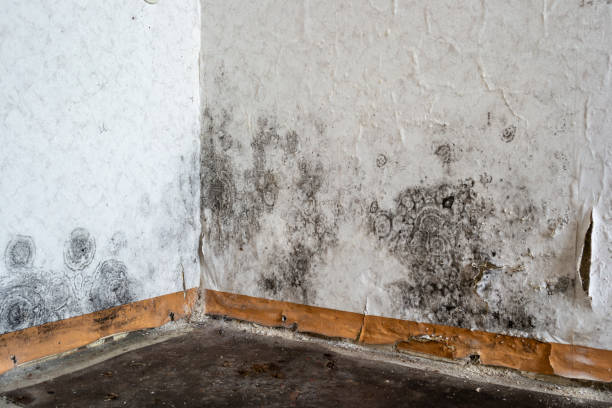 Water damage restoration experts in Holmen, WI